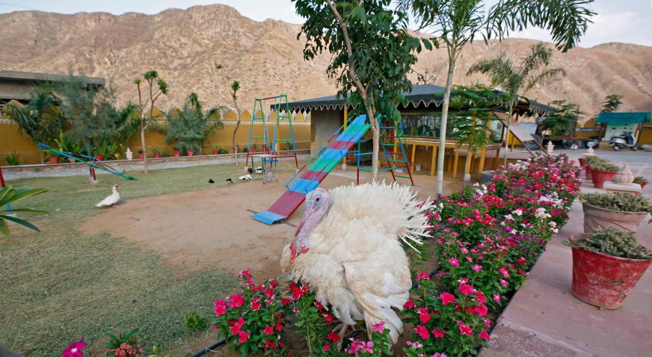 Serene Aravali Resort, Pushkar Dış mekan fotoğraf